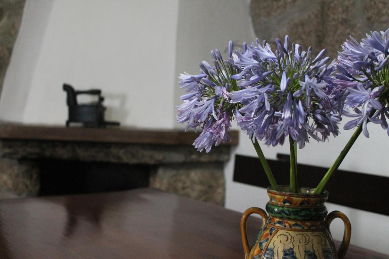 Refugio Do Douro - Alojamento Local Baião Dış mekan fotoğraf